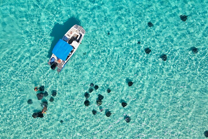 Sunrise at Stingray City, Private Tour - Photo 1 of 3